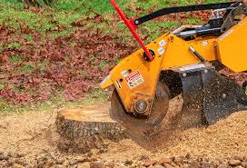 Best Utility Line Clearance  in Brocton, NY