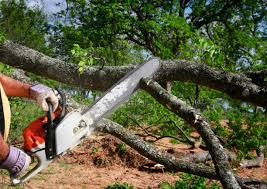 Best Lawn Grading and Leveling  in Brocton, NY